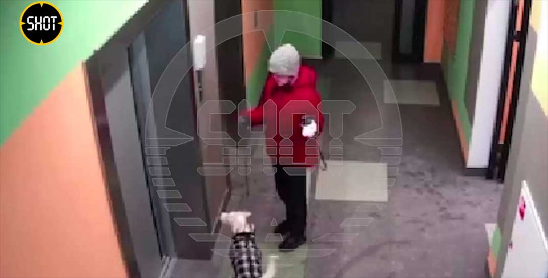 В России из-за невнимательности хозяйки и закрывшегося лифта собака чуть не «повесилась» на собственном поводке