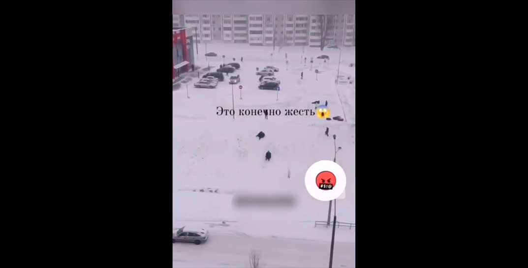 Жесть. Посмотрите, как в Мозыре дети скатываются с горки — прямо на проезжую часть
