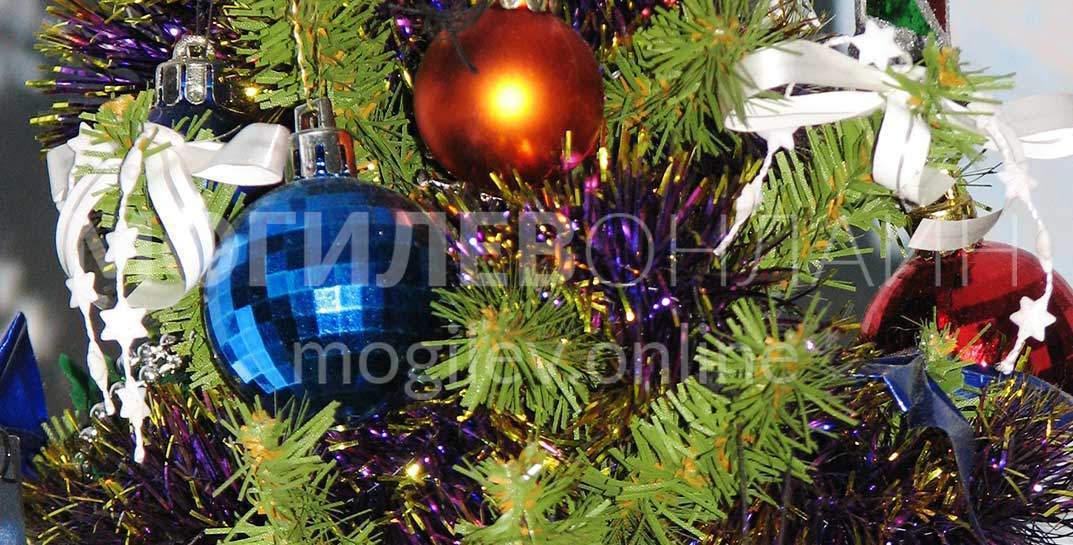 Почитайте, как правильно утилизировать новогоднюю елку после праздников — заодно узнаете адреса могилевских центров для раздельного сбора коммунальных отходов