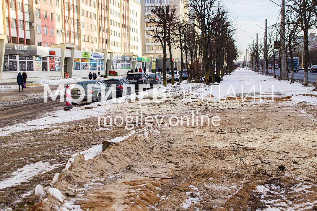 Вдоль Пушкинского проспекта удаляют деревья