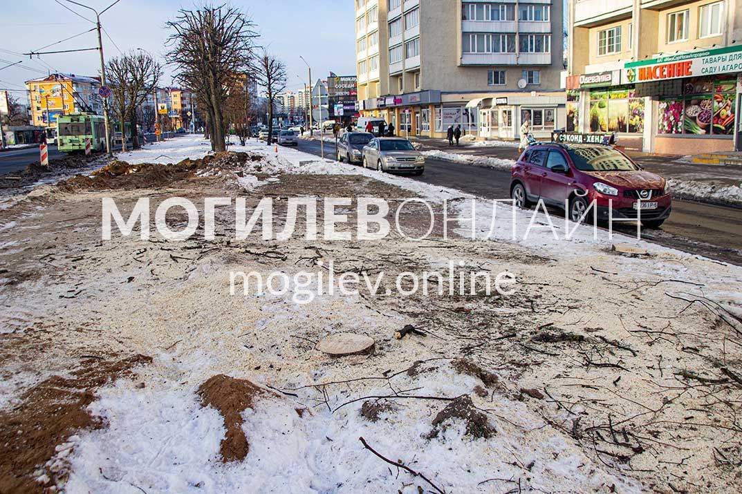 Вдоль Пушкинского проспекта удаляют деревья