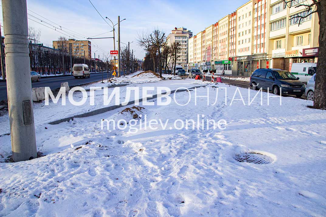 Вдоль Пушкинского проспекта удаляют деревья