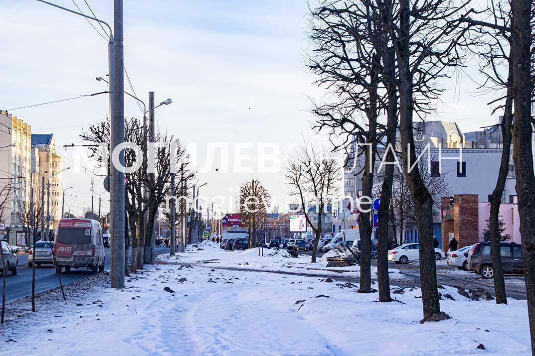 Вдоль Пушкинского проспекта удаляют деревья