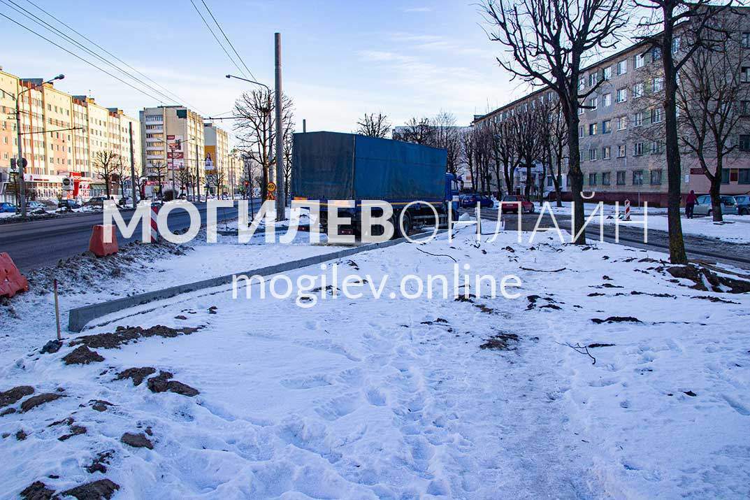 Вдоль Пушкинского проспекта удаляют деревья