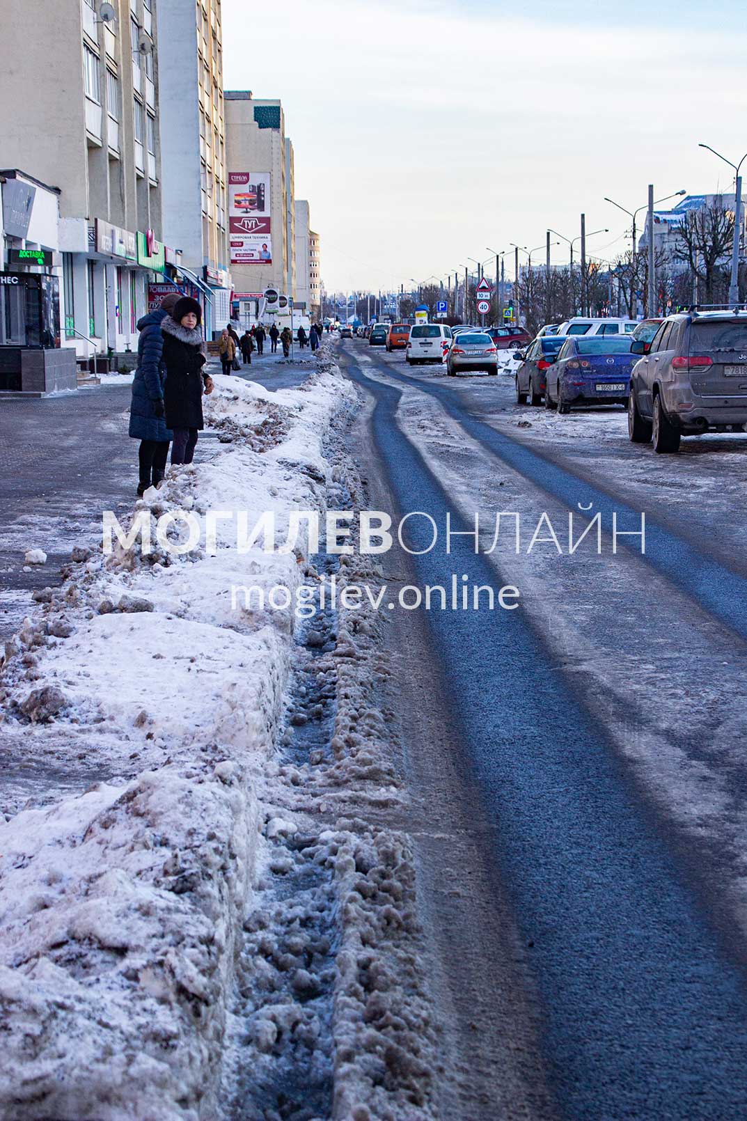 Вдоль Пушкинского проспекта удаляют деревья