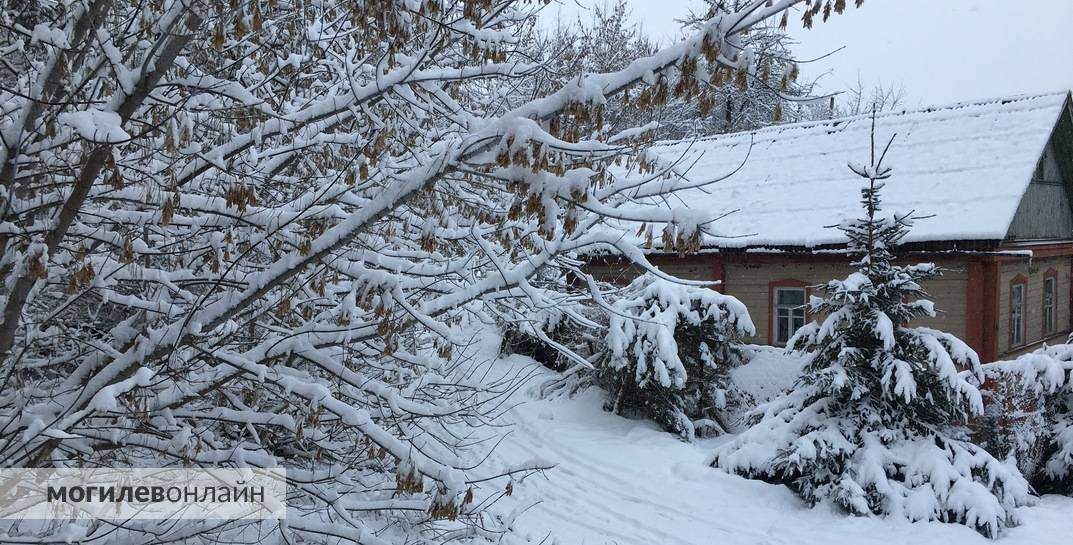 Синоптик Дмитрий Рябов дал прогноз погоды в Могилеве на неделю с 29 января по 4 февраля