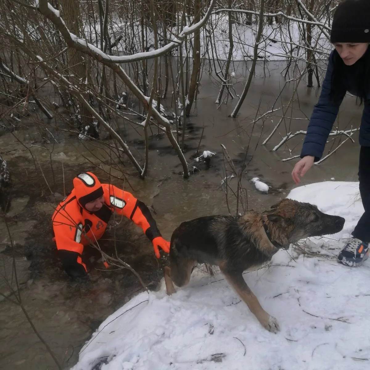 Спасли собаку, которая провалилась под лед