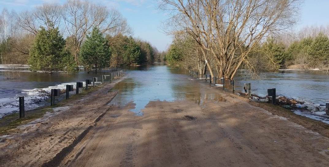 В Могилевской области разбушевался паводок: подтоплены подворья, дороги и мосты в восьми районах