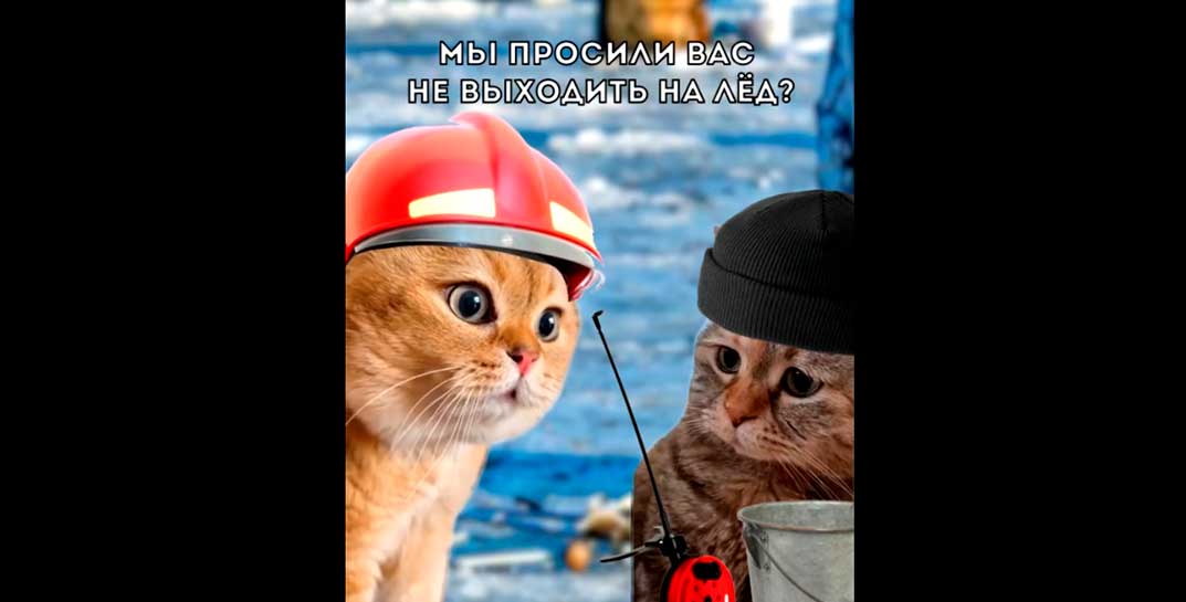 Мемные котики от белорусского МЧС рассказали, чем отличается гололед от гололедицы и призвали рыбаков зимой покупать рыбку в магазине