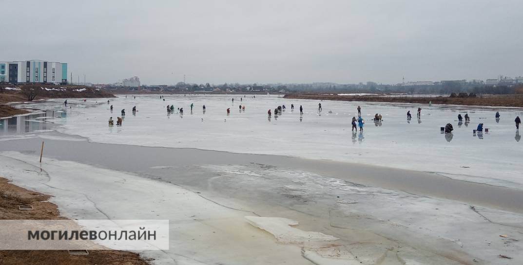 «Сколько людей, которым надоело жить…» Посмотрите, что творится на Фатинском заливе в Могилеве — десятки рыбаков вышли на тающий лед