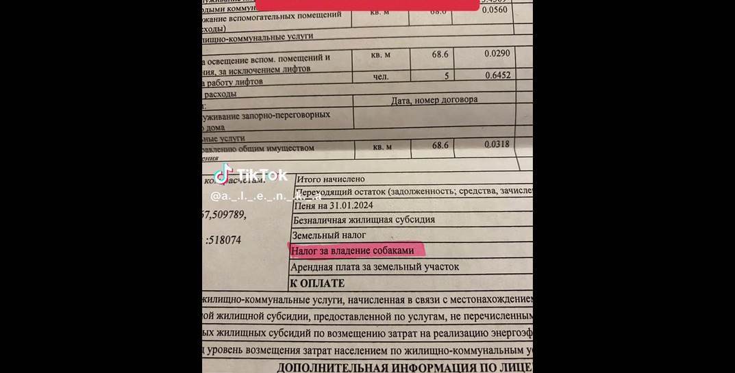 Белоруска показала, какой налог заплатила за собаку. В комментариях — буря эмоций