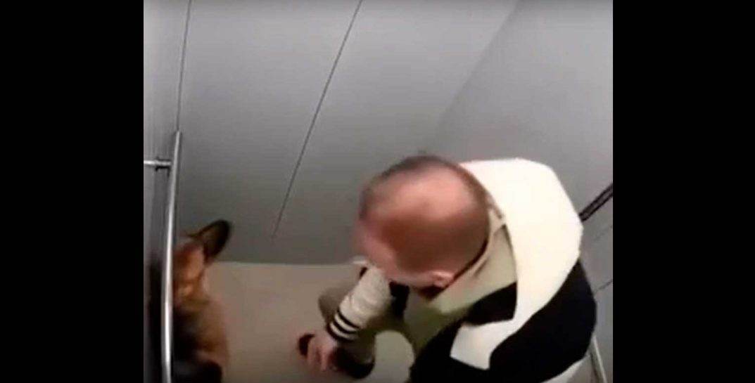 В сети появилось видео — в лифте жилого дома могилевчанин грубо ведет себя с питомцем