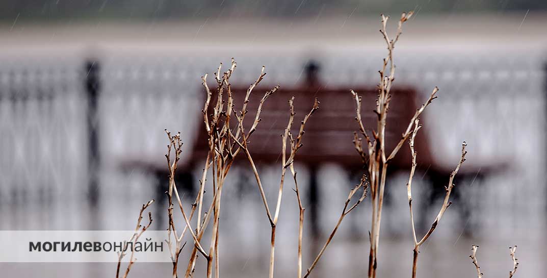 Климата, который вы знали, больше нет. 24 февраля в Беларуси ожидается до +15 градусов тепла