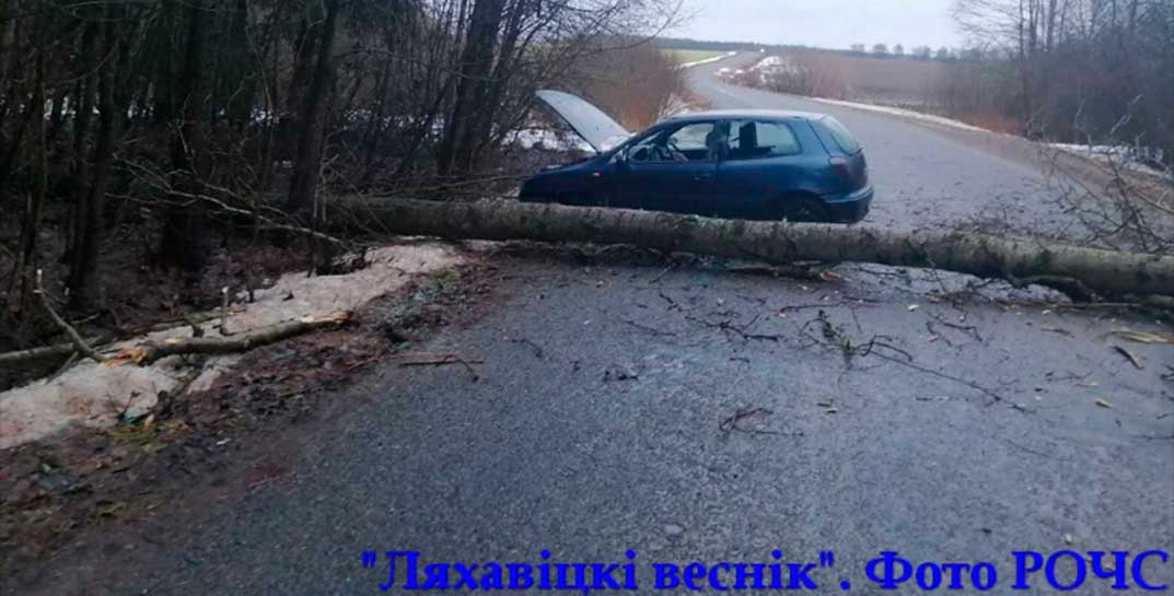 В Ляховичском районе дерево упало на… проезжающую машину