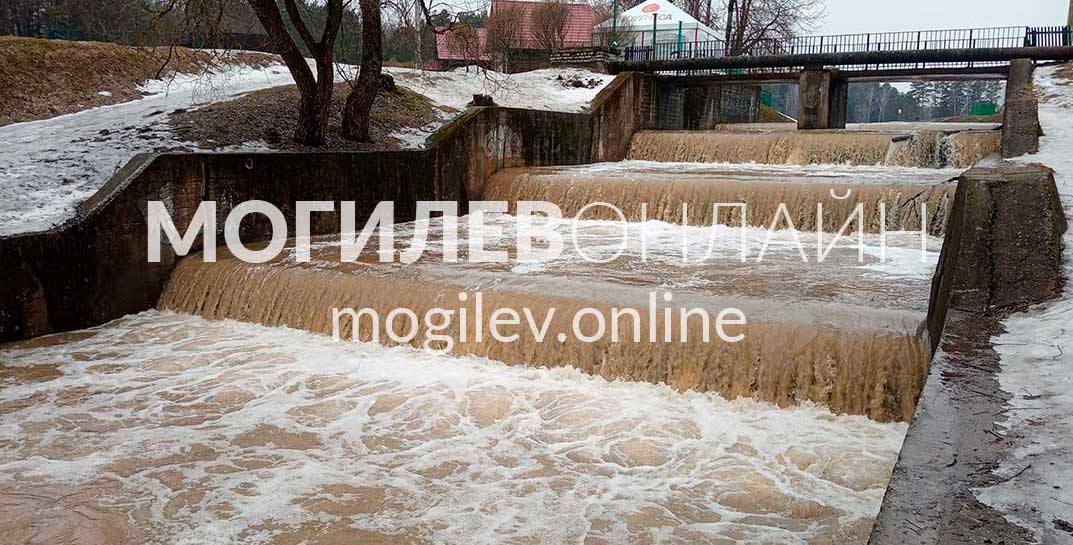 Широкий бурный поток. На Дубровенке начался паводок — просто посмотрите на это