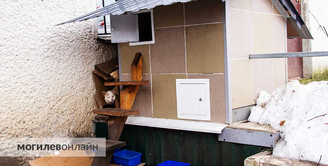 Горка из камней, домик для котов и откидная лавочка на замке — посмотрите, какой уютный дворик оборудовали жители дома по проспекту Пушкина