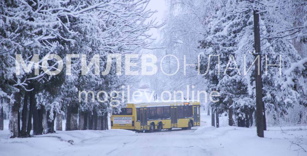 Могилев накрыло сильным снегопадом — посмотрели, что творится на улицах города