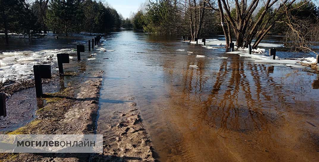 В Городище затопило мост и дорогу к деревне — вот как это выглядит прямо сейчас