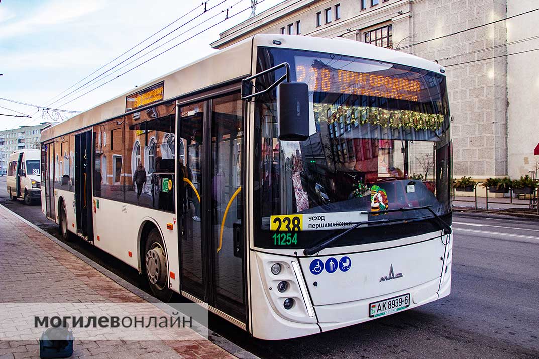 Оцените, как в Могилеве к 23 февраля украсили автобус