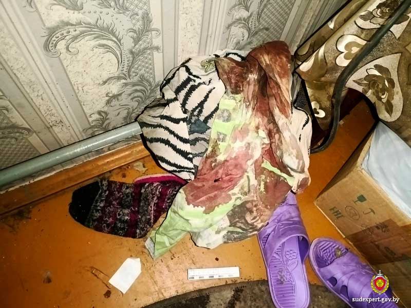 «7 ударов молотком по голове» — в Славгородском районе сын жестоко убил сожителя матери, который ее спаивал