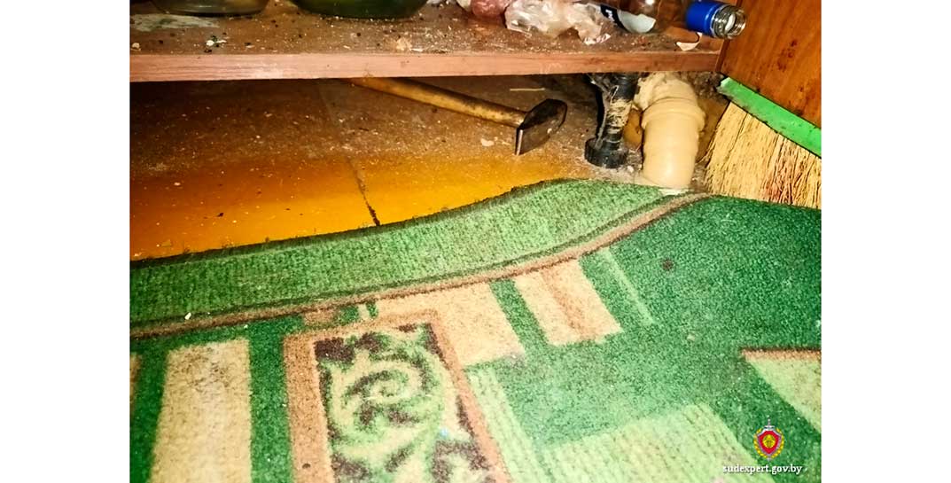 «7 ударов молотком по голове» — в Славгородском районе сын жестоко убил сожителя матери, который ее спаивал