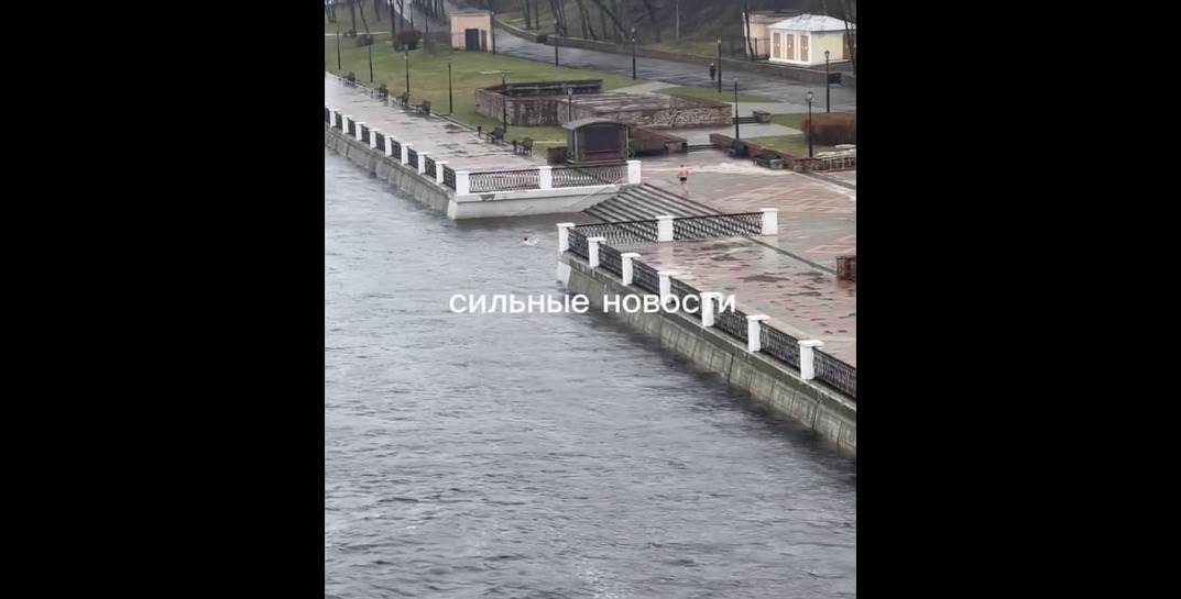 Что мне снег, что мне зной, когда мои друзья со мной! В Гомеле трое мужчин купались в Соже
