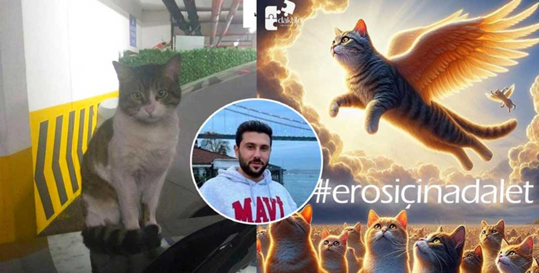 «Мы не хотим жить рядом с живодером!»: после убийства кота в Турции от возмущения кипит вся страна. Под напором общественности мужчину посадят на 2,5 года