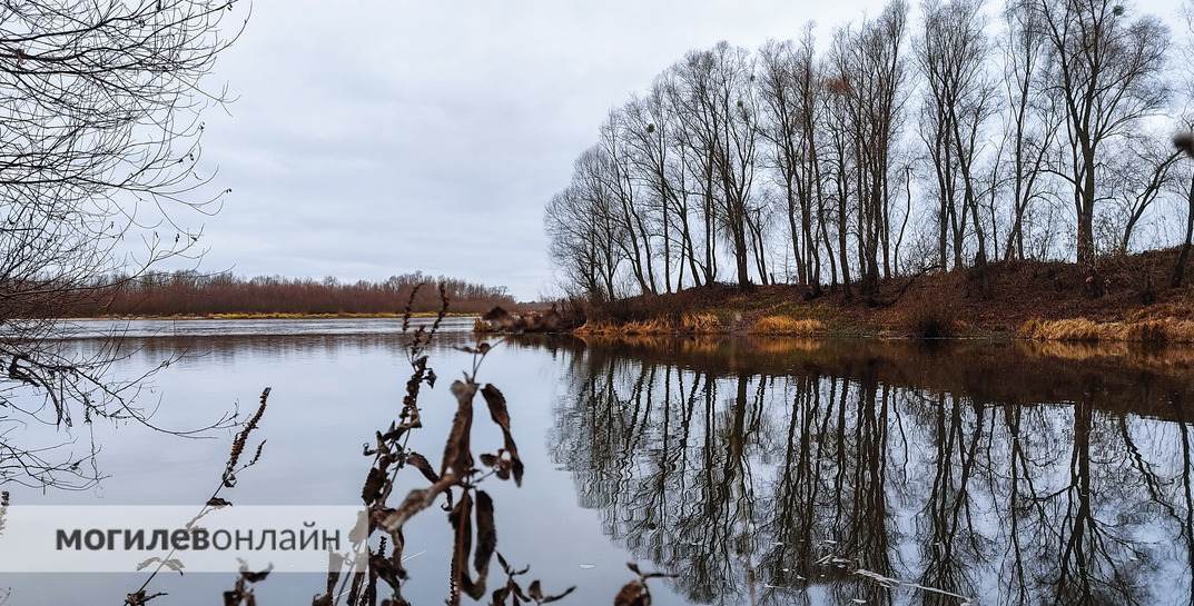 В водоеме в Дрибинском районе обнаружили тело пенсионерки