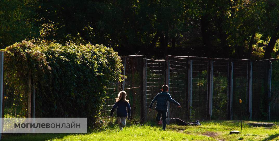 Хотел «повеселиться»: в Бресте 19-летний парень гонялся за детьми с ножом