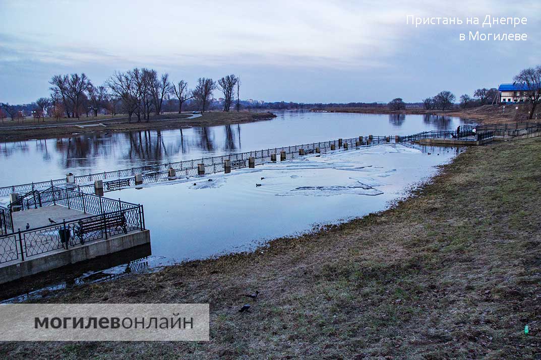 В Могилевской области паводок на грани наводнения — оцените масштабы