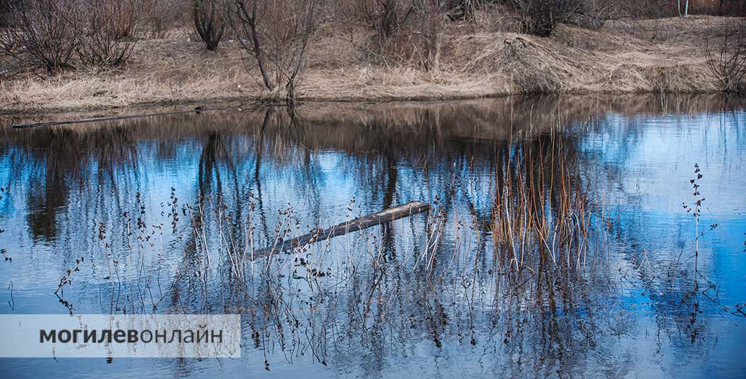 В Международный день рек посчитали, сколько их в Беларуси — какая самая маленькая, самая извилистая и самая холодная