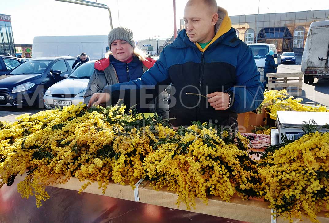 Могилев готовится поздравлять прекрасную половину человечества с праздником Весны — посмотрели, по чем цветы