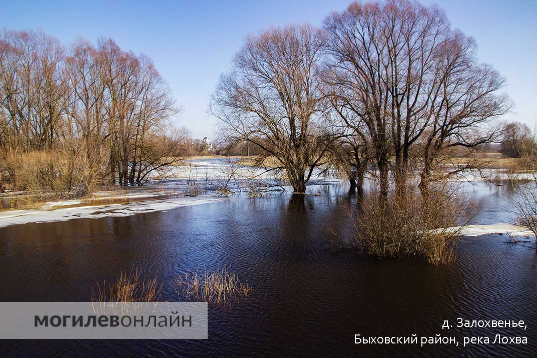 В Могилевской области паводок на грани наводнения — оцените масштабы