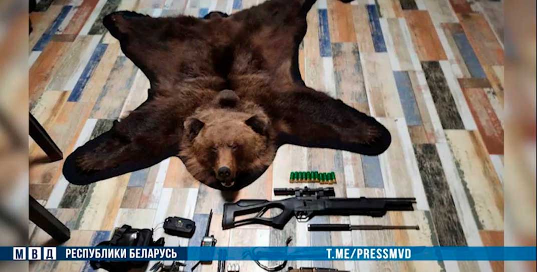 В Витебской области задержали 19 браконьеров, которые охотились на медведя… с вертолета
