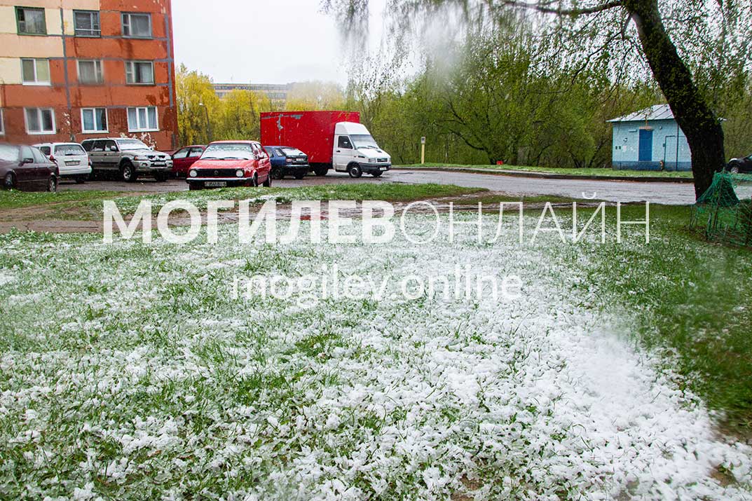 Снег в Могилеве 19 апреля