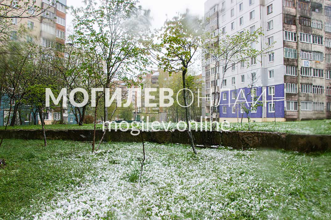 Снег в Могилеве 19 апреля