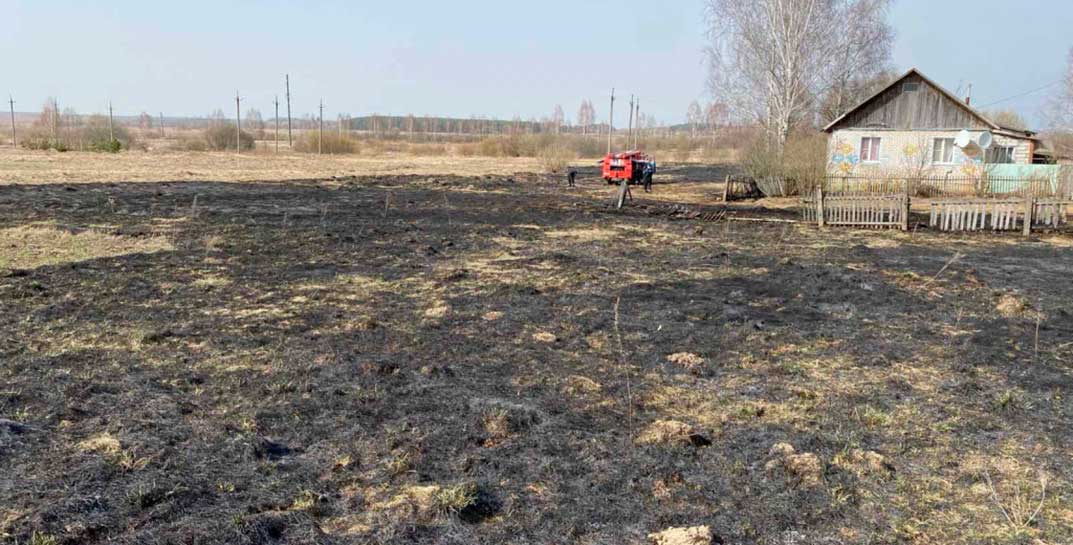 В Могилевской области две пенсионерки получили ожоги, сжигая траву. Одна из женщин не выжила