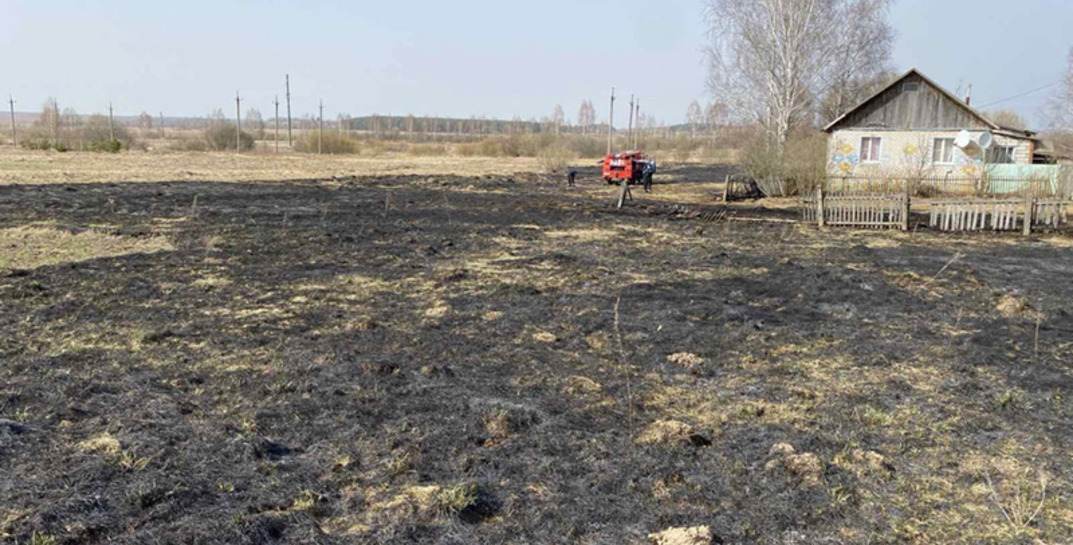 В Дрибинском районе пенсионерка сжигала на участке сухую траву и упала в огонь — на следующий день женщина скончалась