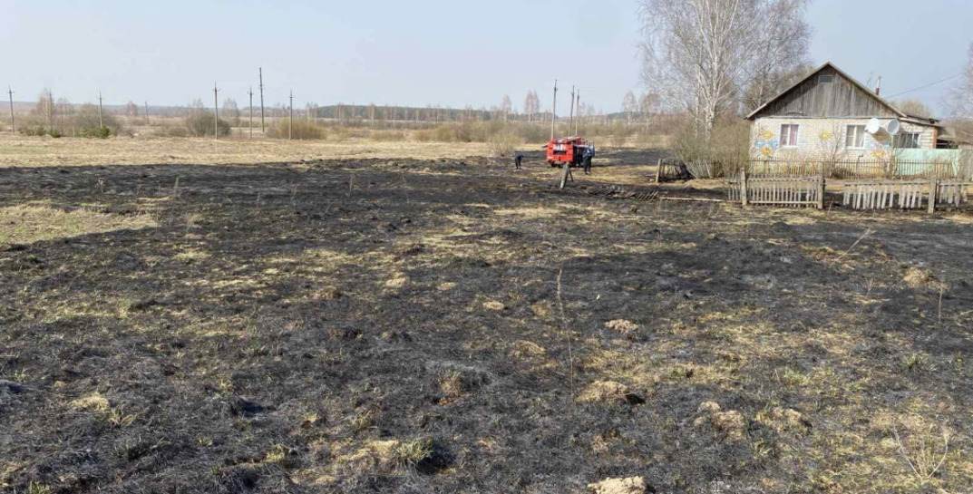 В Могилевской области двое пенсионеров пострадали при выжигании сухой травы