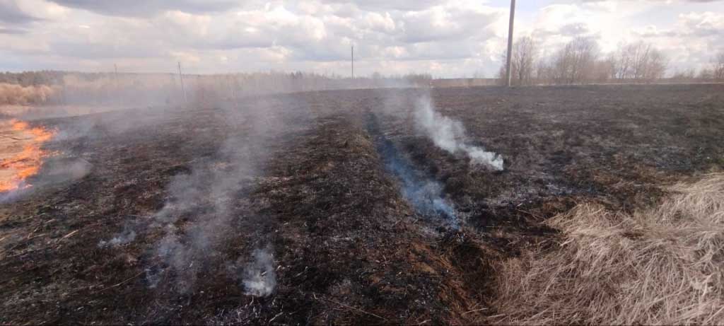 В Могилевской области две пенсионерки получили ожоги, сжигая траву. Одна из женщин не выжила
