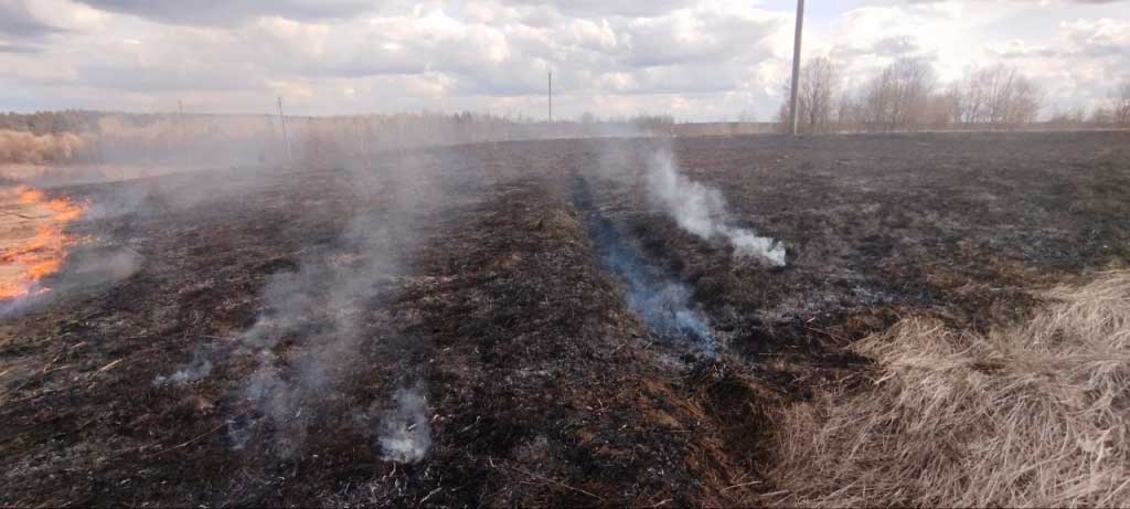 В Могилевской области две пенсионерки получили ожоги, сжигая траву. Одна из женщин не выжила