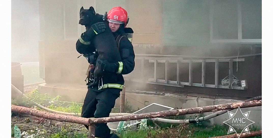 Очередное браво нашим спасателям: смотрите, как под Слуцком на пожаре спасли собаку