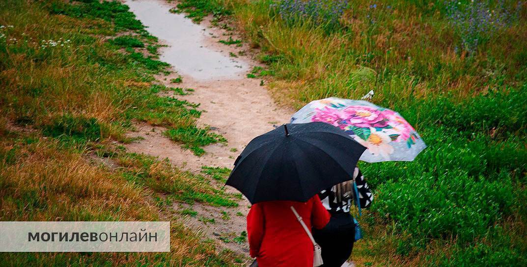 Стало известно, какой будет погода в Могилевской области в начале следующей недели