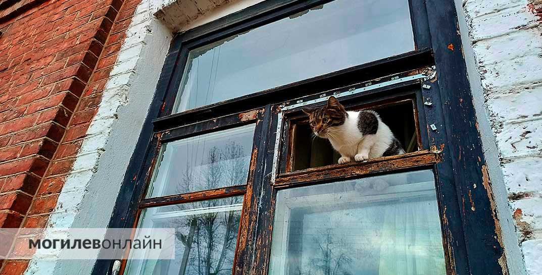 В среду в Могилеве тепло и облачно