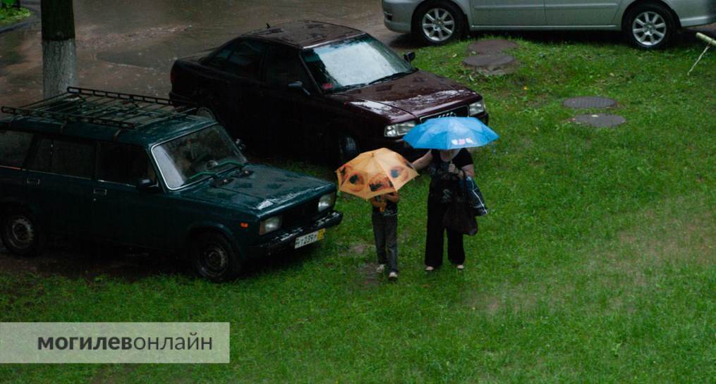 Теплеет, но дожди продолжаются. Погода в Могилеве на среду