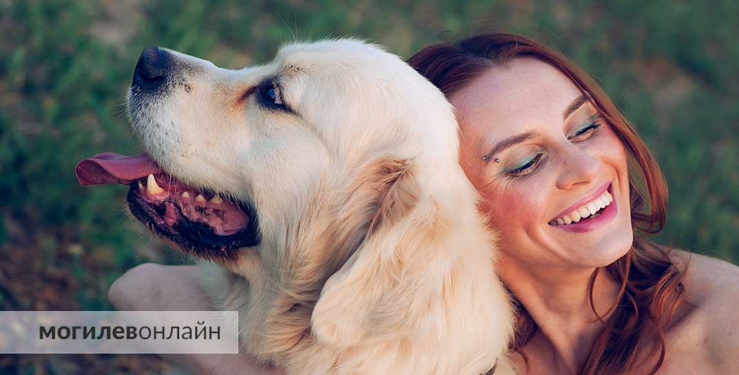 Стало известно, кому и сколько нужно платить за содержание собаки в Могилеве в 2024 году