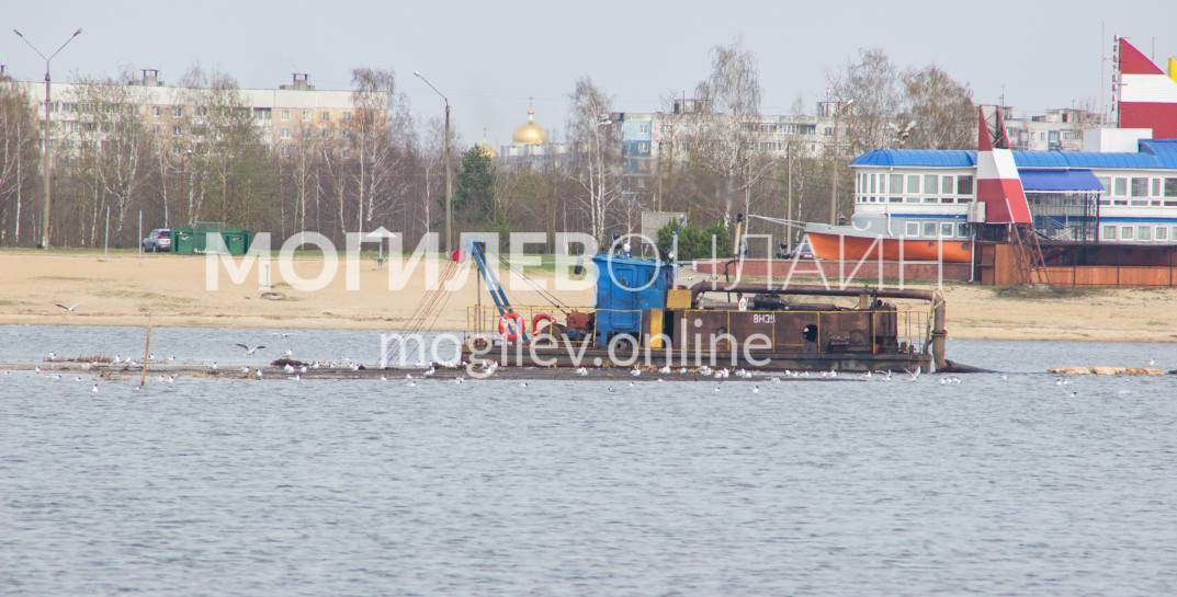 Узнали, как продвигаются работы по очистке «Святого» озера в Могилеве