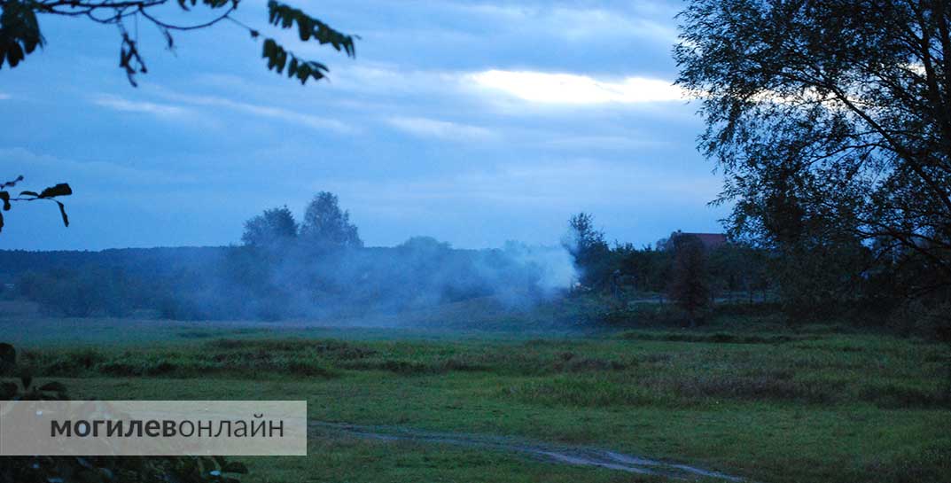 В Шклове сторож выбросил окурок в неположенном месте и устроил пожар. Теперь он должен государству большие деньги