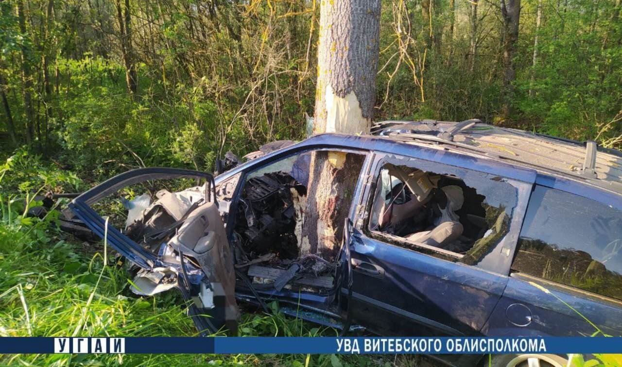 Врезался в дерево