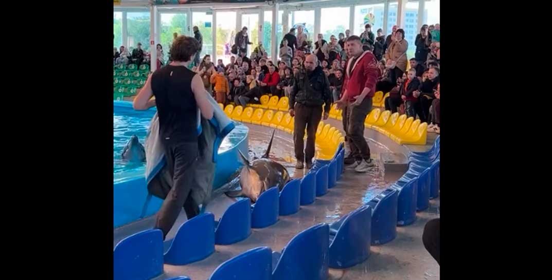 «Мужики, давайте!». В минском дельфинарии во время выступления из воды выпрыгнул дельфин — его спасали зрители